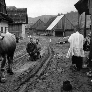 Meet your Posher, Robin